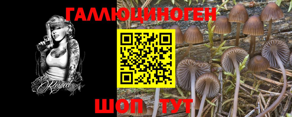 Псилоцибиновые грибы мицелий  Вход с VPN  Галлюциногенные грибы мухоморы  Гусиноозёрск 